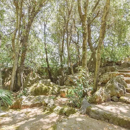 Nyaraló Laltana Forio di Ischia